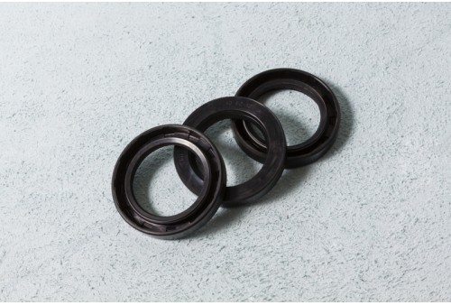 PT 60 Rotary shaft seal 54